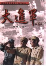 大进军 南线大追歼