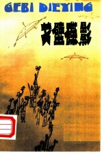 戈壁碟影