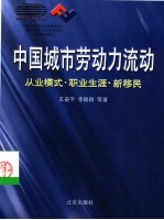 中国城市劳动力流动 从业模式·职业生涯·新移民
