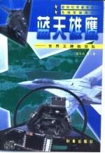 蓝天雄鹰 世界王牌航空队