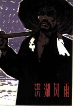 洪湖风雨