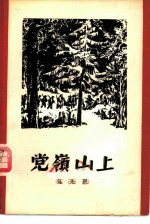 党岭山上