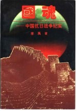 国魂 中国抗日战争纪实