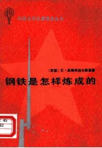 钢铁是怎样炼成的