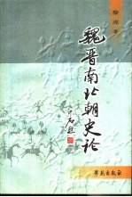 魏晋南北朝史论