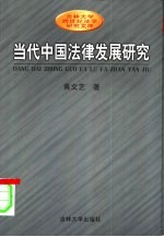 当代中国法律发展研究 模式、传统与过程