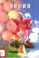 奇妙的创造