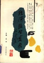 经济监督实务 下