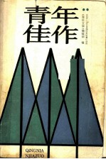 青年佳作 1988-1989全国优秀短篇小说选