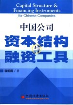 中国公司资本结构与融资工具