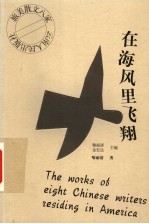 在海风里飞翔