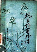 炕头作家外传