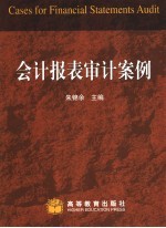 会计报表审计案例