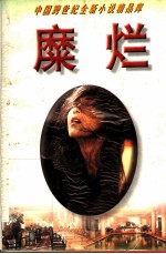 糜烂 新状态小说