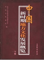 中国新时期地方文化发展概览 下