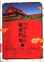 中国文明的秘密档案