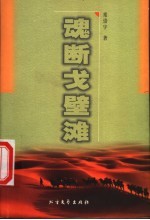 魂断戈壁滩