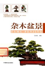杂木盆景