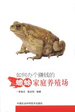 如何办个赚钱的蟾蜍家庭养殖场