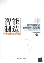 智能制造 中国视角与企业实践