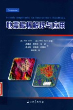 地震振幅解释与应用