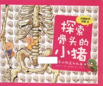 探索骨头的小猪 骨的构造机能