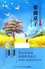 中国经典文学名著 宗璞作品选 紫薇童子 典藏本