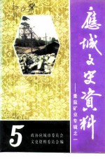 应城文史资料 第5辑 膏盐矿业专辑之一