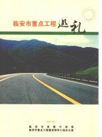 临安市重点工程巡礼