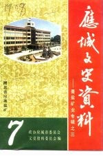 应城文史资料 第7辑 膏盐矿业专辑之三
