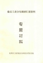 临安工商分局调研汇报资料专题材料