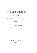 中国高等植物 2