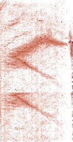 龚定庵全集 续集 3