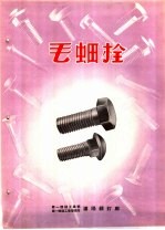 产品样本紧固另件 第2部分 样本 7 毛螺栓