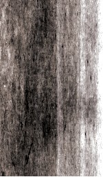 资治通鉴 44 卷220至卷224