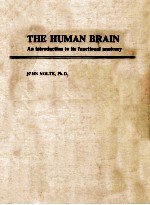 THE HUMAN BRAIN AN INTRODUCTION TO ITS FUNCTIONAL ANATOMY