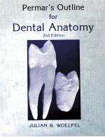 Permars outline for dental anatomy