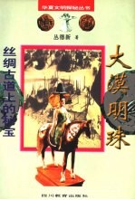 大漠明珠 丝绸古道上的秘宝