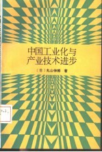 中国工业化与产业技术进步