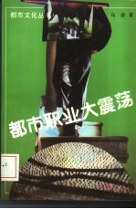 都市职业大震荡