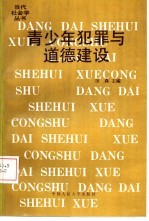 青少年犯罪与道德建设