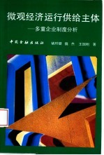 微观经济运行供给主体 多重企业制度分析