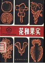 花和果实