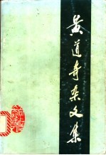 黄道奇杂文集
