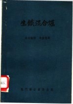 生铁混合炉