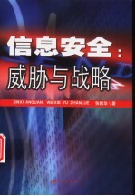 信息安全:威胁与战略