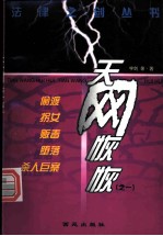 天网恢恢:偷渡.拐女.贩毒.堕落.杀人巨案