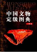 中国文物定级图典 二级品