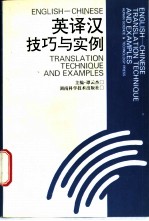 英译汉技巧与实例