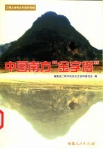 三明文史资料 第17辑 三明文物考古与保护专辑 中国南方“金字塔”